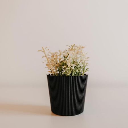 Apartmani Rosa Nevesinje 外观 照片
